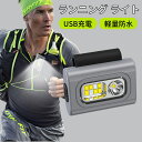 aninako ウォーキング ライト ランニングライト USB充電 小型 6種類の照明モード 軽量 防水 グリップ式 夜間 ジョギング LED ランナー用 懐中...