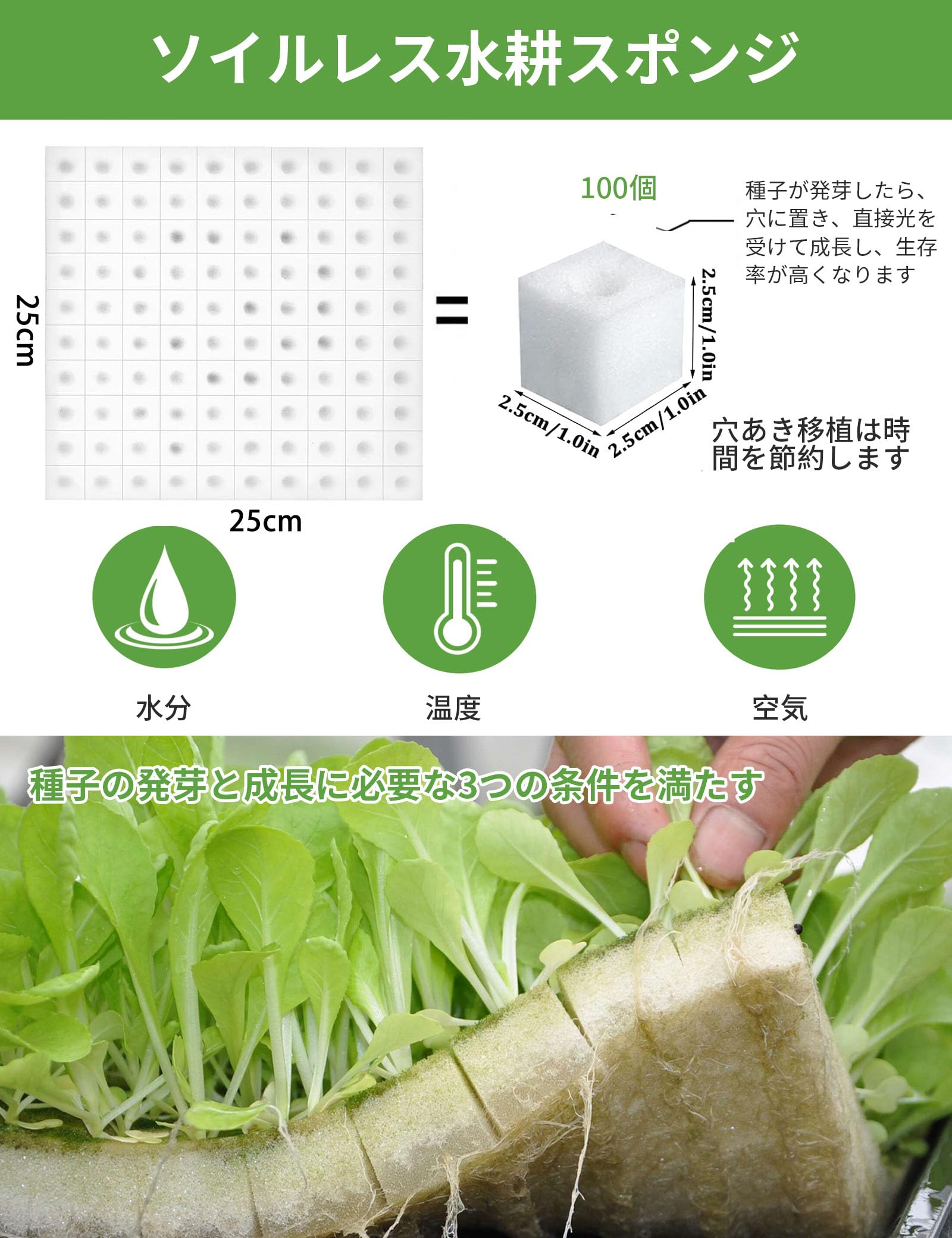 ��¨Ǽ�ۡ�100�ĥ��åȡۿ�̺��� ���ݥ� �պ������� ���� ��ޤ� ���ݥ� ���쥿�� ���� �������� ��̥��ݥ� �֥��å� ̵�ھ����� �ĥ��ݥ� ������ �̵��� ���ϥ��ݥ� �� ��ڿ��� ��ʪ���� ���� ���� �ľ� ��� �꿢 ������