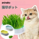 猫草ポット 水耕栽培 猫草プランター 2個セット 水耕栽培猫草 ボックス 猫草栽培セット 栽培用の鉢 水植物スプラウタートレイ 発芽コンテナー