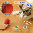 猫ボール 猫玩具 自動猫おもちゃ 電動自動回転 猫のエクササイズボール 光る 長い尾付き インタラクティブ ペットおもちゃ ストレス解消 運動不足解消 USB充...