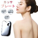 カッサプレート