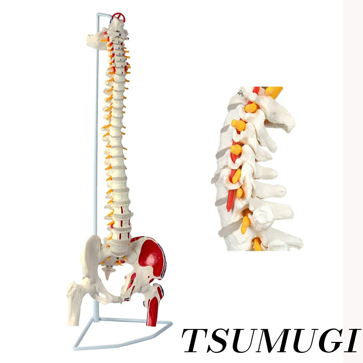 【まとめ買いで最大500円OFFクーポン