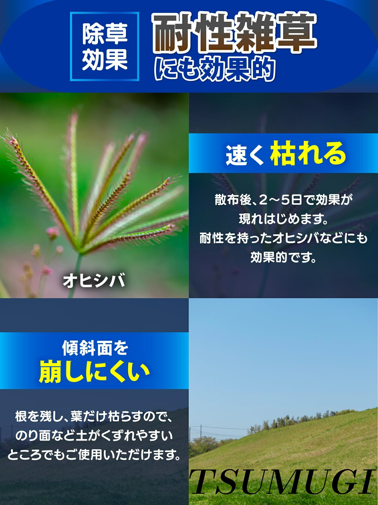 【まとめ買いで最大500円OFFクーポン!】【送料無料】ゴーオン 5L 除草剤 グルホシネート 液剤 原液 ジェネリック 頑固な雑草 スズナ オヒシバ 宅地 駐車場 太陽光 のり面
