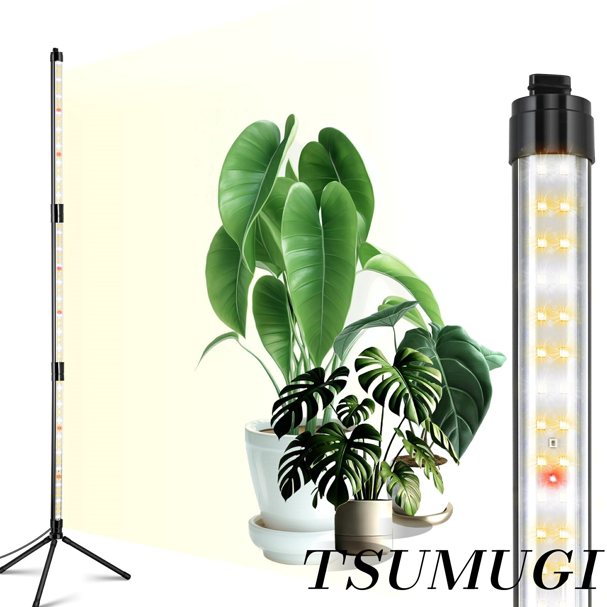 楽天市場】観葉植物 植物育成ライト（ホビー）の通販