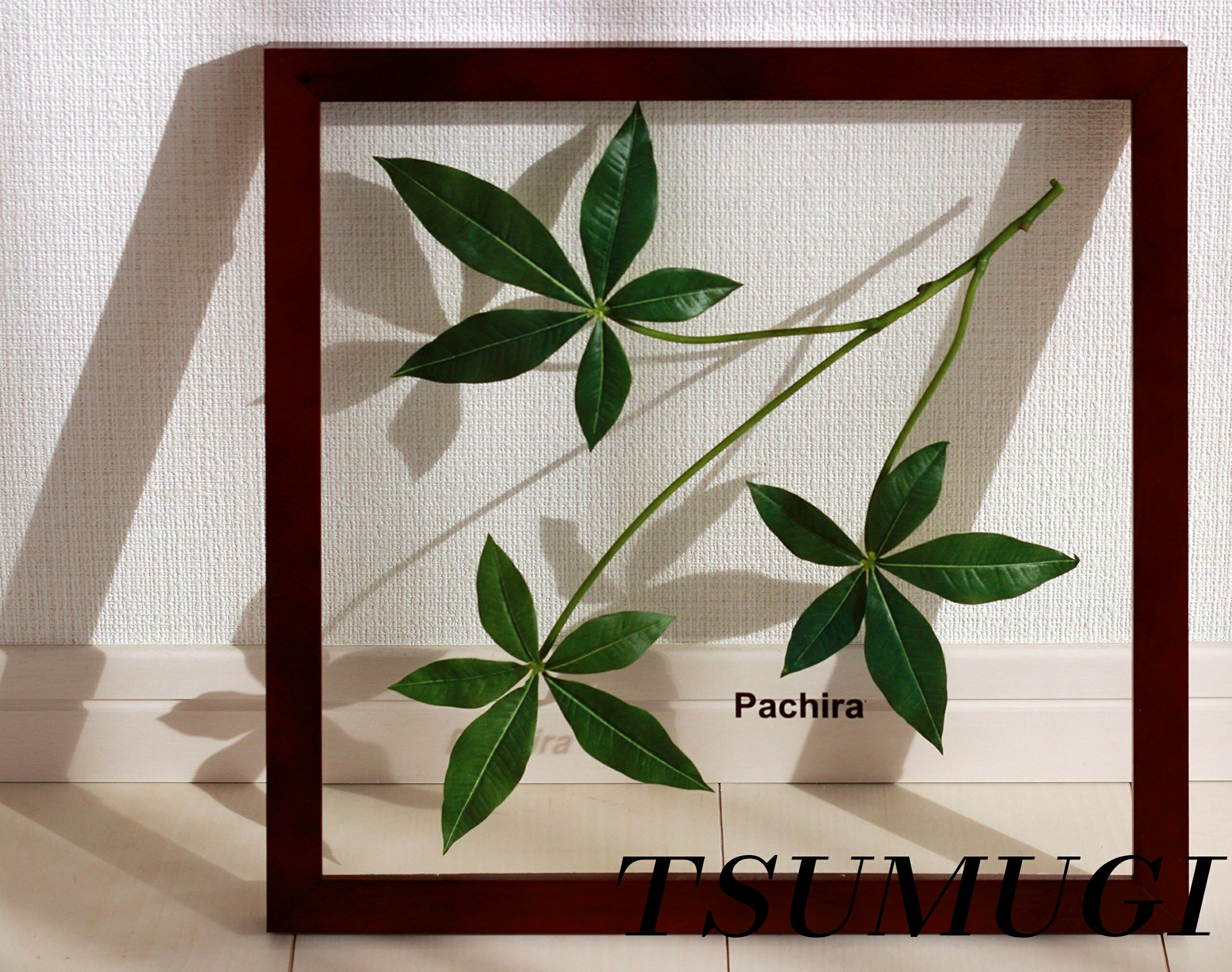 �ڤޤȤ��㤤�Ǻ���500��OFF�����ݥ�!�ۡ�����̵���������� ���� �ѥ��� ���������������������դ� ���� ����ƥꥢ �ɳݤ� ������ �꡼�եѥͥ� ����...