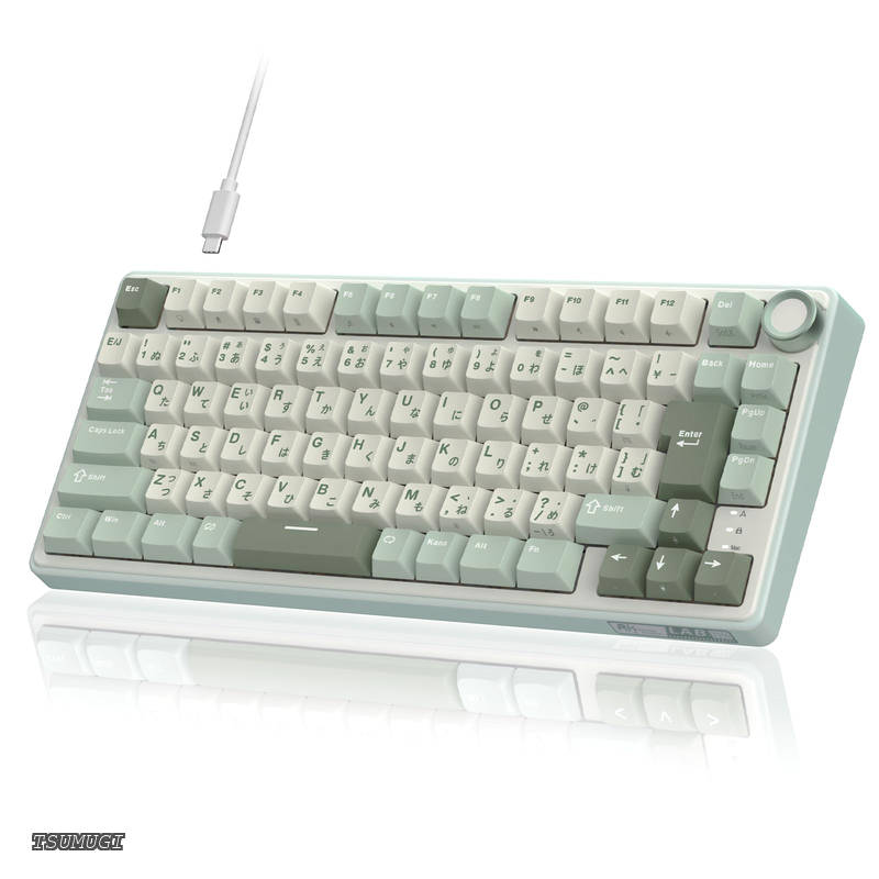 ROYAL KLUDGE R75 メカニカルキーボード 有線｜日本語配列｜ボリュームノブ搭載｜ゲーミングキーボード 75%カスタム｜ガスケットマウント構造?RGBバックライト?ソフトウェア対応｜Cherry Profileプロファイル?PBTキーキャップ?ホットスワップ対応リニアスイッチ?