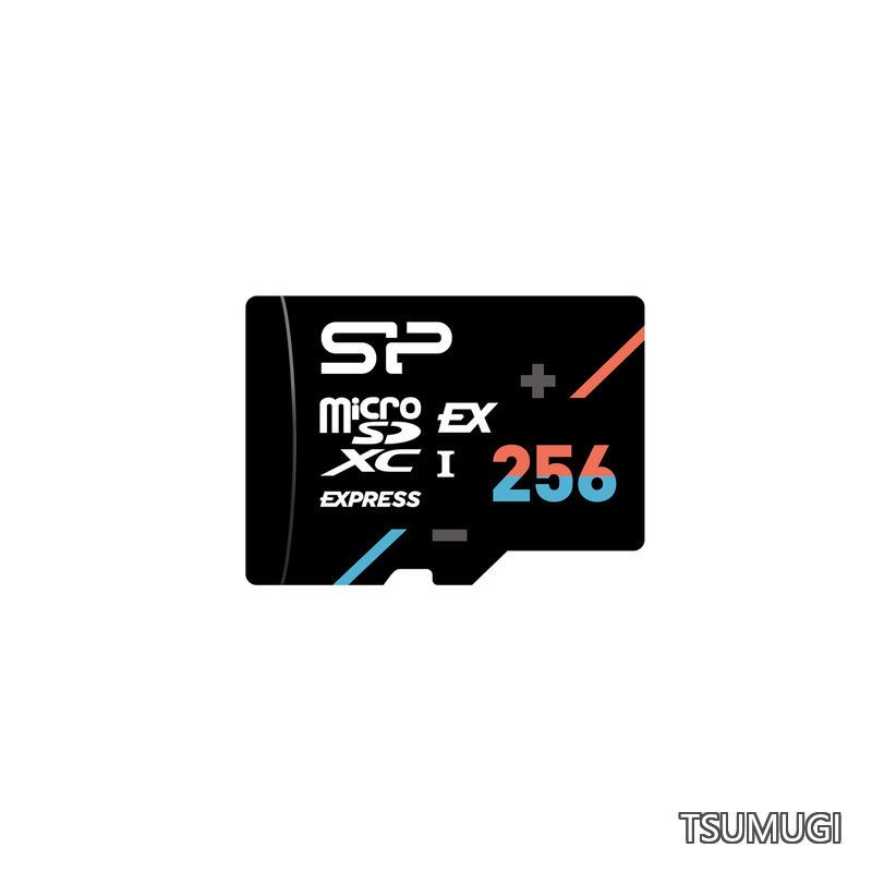 【送料無料】Expressカード 256GB 最大読込880MB/s 最大書込700MB/s Nintendo Switch 2動作確認済 4K動画 ゲーム SP256GBSTEI31V10