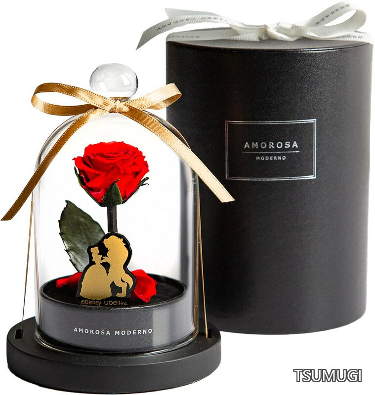 モデルノ AMOROSA MODERNO プリザーブドフラワー リトルベル ディズニーエディション バラ ギフト 花 誕生日 結婚 記念日 プロポーズ 「美女と野獣」ドライフラワー プレゼント 女性 DSLB-30