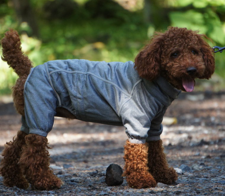 ポイント5倍 レインコート フィンランドのドッグブランド Hurtta フルッタ ドッグウェア 犬用品 ドッグオーバーオール ボディウォーマー 中 大型用 つむぐデザイン