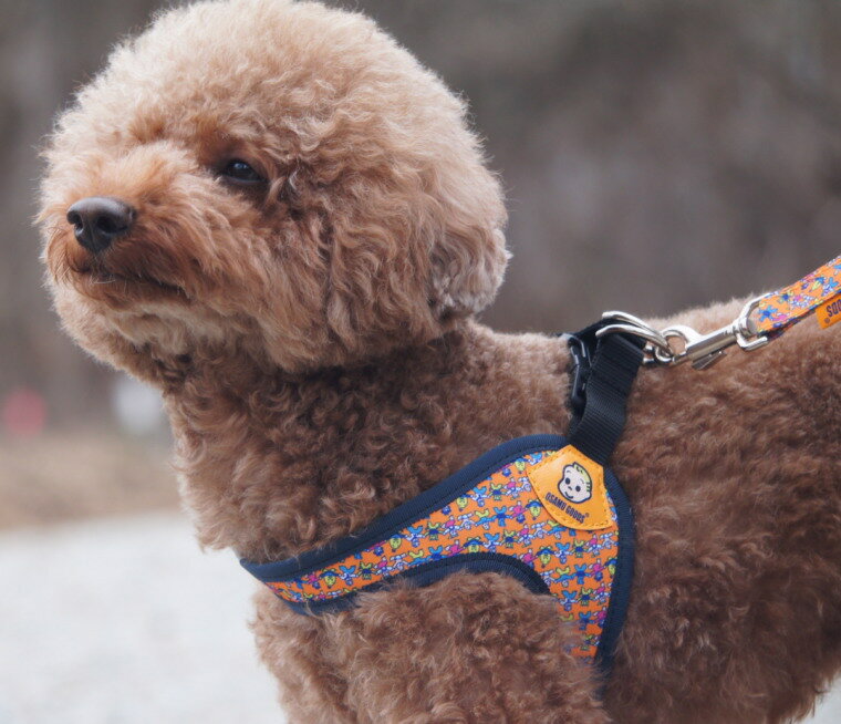 楽天市場】オサムグッズ（犬用品｜ペット・ペットグッズ）の通販