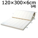 体操マット 9号 マット運動 練習 マット SGマーク付体操マット 120×300×厚6cm 送料無料