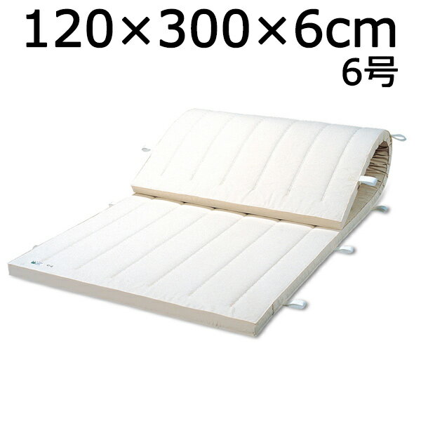 体操マット 6号 マット運動 練習 マット SGマーク付体操マット 120×300×厚6cm 送料無料