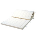 体操マット 9号 マット運動 練習 マット SGマーク付体操マット 90×300×厚5cm 送料無料(4)