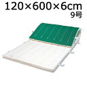 体操マット 9号 滑り止め付 ノンスリップマット 体育 運動マット SGマーク付体操マット 120×600×厚6cm 送料無料