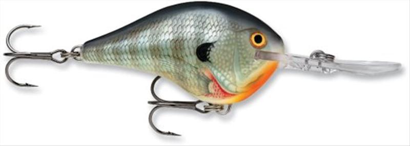 Rakuten - ラパラ(Rapala) ダイブストゥ DT10 6cm/17g