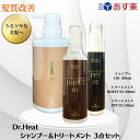 ドクターヒート i 00シャンプー 500ml トリートメント DHPLT01 200ml　PPT02 100ml　ヘアケア ノンシリコン ダメージ ブリーチケア サロン専売品 自宅　髪質改善 洗い流さないトリートメント