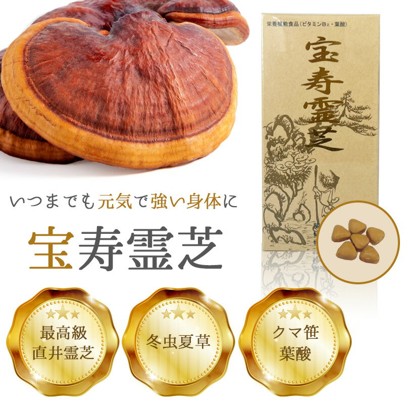 楽天市場】サルノコシカケ 霊芝の通販 楽天市場】サルノコシカケ 霊芝の通販