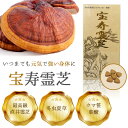 【初回限定クーポンで50%OFF】霊芝 国産 冬虫夏草 最高級【直井霊芝使用】 宝寿霊芝 【約90日から180日分】 レイシ サルノコシカケ サプリ ビタミンb2 葉酸 クマ笹 漢方 栄養機能食品 サプリメント