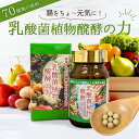 【初回限定クーポンで50%OFF】酵素 サプリ 乳酸菌植物醗酵の力 子供 野菜嫌い 野菜不足 解消 乳酸菌 植物発酵エキス 発酵食品 ミネラル オリゴ糖 腸活 健康食品 サプリメント