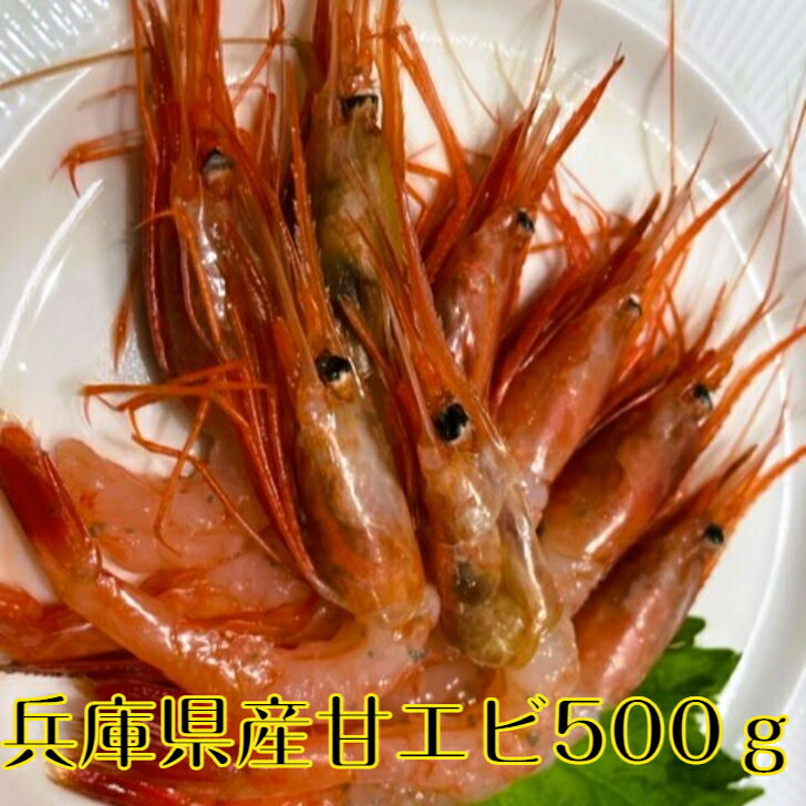 父の日 お中元 甘エビ 国産 兵庫県産 柴山港 お中元 生食用 あまエビ 500g 特大サイズ 冷凍 最高級 子持ち甘エビ 刺身 海鮮丼 手巻き寿司 鮨 寿司 唐揚 おつまみ ギフト グルメ お取り寄せ 贈答用 お礼