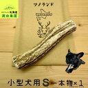 【小型犬用 一本物 1本】 鹿の角 犬のおもちゃ 犬用 おもちゃ 噛んでも 壊れない 手作り 硬い 丈夫 人気 頑丈 中型犬もOK 鹿角 天然 無添加 蝦夷鹿 ペット ペット用品 犬 ドッグガム 角ガム クセになる おやつ ご褒美 硬いおもちゃ 歯磨き ガジガジくん