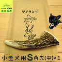 【小型犬用 角先(中) 1本】 鹿の角 犬のおもちゃ 犬用 おもちゃ 噛んでも 壊れない 手作り 硬い 丈夫 人気 頑丈 鹿角 天然 無添加 蝦夷鹿 ペット ペット用品 犬 ドッグガム 角ガム クセになる おやつ ご褒美 硬いおもちゃ 歯磨き ガジガジくん