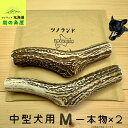 【中型犬用 一本物 2本セット】 鹿の角 犬のおもちゃ 犬用 おもちゃ 噛んでも 壊れない 手作り 硬い 丈夫 人気 頑丈 大型犬もOK 鹿角 天然 無添加 蝦夷鹿 ペット ペット用品 犬 ドッグガム 角ガム クセになる おやつ ご褒美 硬いおもちゃ 歯磨き ガジガジくん