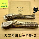 【大型犬用 一本物 2本セット】 鹿の角 犬のおもちゃ 犬用 おもちゃ 噛んでも 壊れない 手作り 硬い 丈夫 人気 頑丈 超大型犬もOK 鹿角 天然 無添加 蝦夷鹿 ペット ペット用品 犬 ドッグガム 角ガム クセになる おやつ ご褒美 硬いおもちゃ 歯磨き ガジガジくん