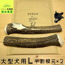 【大型犬用 半割根元 2本セット】 鹿の角 犬のおもちゃ 犬用 おもちゃ 噛んでも 壊れない 手作り 硬い 丈夫 人気 頑丈 超大型犬もOK 鹿角 天然 無添加 蝦夷鹿 ペット ペット用品 犬 ドッグガム 角ガム クセになる おやつ ご褒美 硬いおもちゃ 歯磨き ガジガジくん