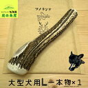 【大型犬用 一本物 1本】 鹿の角 犬のおもちゃ 犬用 おもちゃ 噛んでも 壊れない 手作り 硬い 丈夫 人気 頑丈 超大型犬もOK 鹿角 天然 無添加 蝦夷鹿 ペット ペット用品 犬 ドッグガム 角ガム クセになる おやつ ご褒美 硬いおもちゃ 歯磨き ガジガジくん