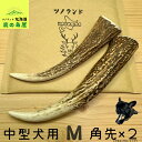 【中型犬用 角先 2本セット】 鹿の角 犬のおもちゃ 犬用 おもちゃ 噛んでも 壊れない 手作り 硬い 丈夫 人気 頑丈 大型犬もOK 鹿角 天然 無添加 蝦夷鹿 ペット ペット用品 犬 ドッグガム 角ガム クセになる おやつ ご褒美 硬いおもちゃ 歯磨き ガジガジくん