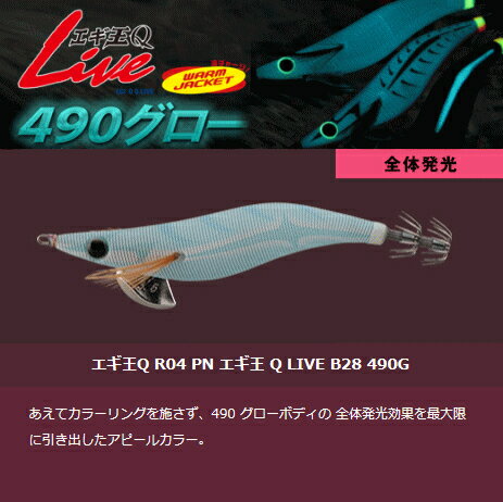 ޥꥢQLIVE4902.5B28490G(᡼ز)(O01)(оݾ)