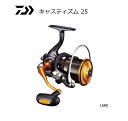 ダイワ 19 キャスティズム 25 15PE / スピニングリール daiwa 釣具 【GWセール】