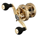 ダイワ 21 バサラ 100 (右ハンドル) / ベイトリール daiwa 釣具 【週末セール対象商品】