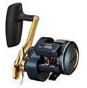 ダイワ 21 ソルティガ IC 300H-SJ (右ハンドル) / ベイトリール daiwa 釣具