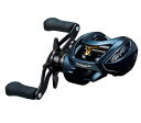 ダイワ スティーズ AII TW 1000H(右ハンドル) / ベイトリール daiwa 釣具 【週末セール対象商品】