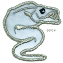 明光社 MJHW-26 ジュエル反射 ワッペンシール #タチウオ / 釣具 【メール便発送】 【週末セール対象商品】