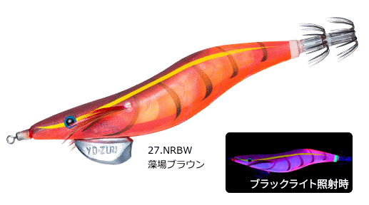ǥ奨 衼 ꡼Q 3D 3.5 #27 NRBW ֥饦 /    ڥ᡼ȯ