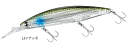ダイワ ショアラインシャイナーZ セットアッパー フルバック レーザーインパクト 125SDR-LI #LIイナッ子 / ルアー 釣具 【メール便発送】(4)