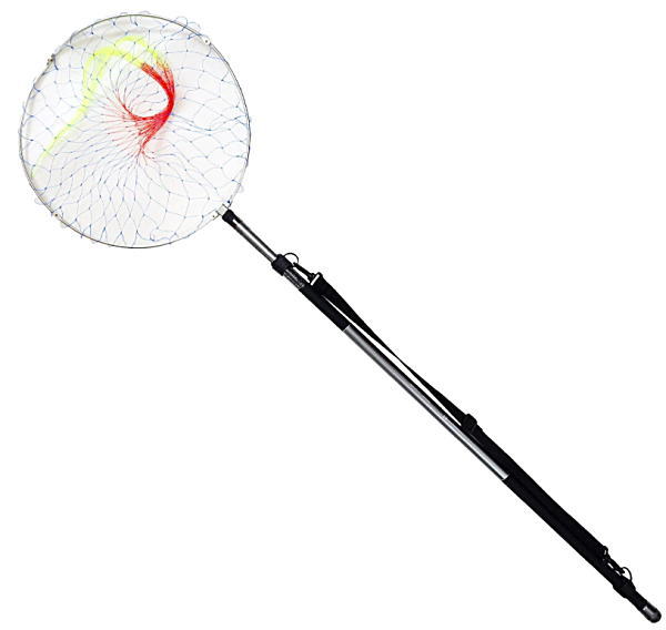 磯玉網セット プロマリン CB ブルーベイ 540 / 玉の柄 たも網 タモ枠 釣具