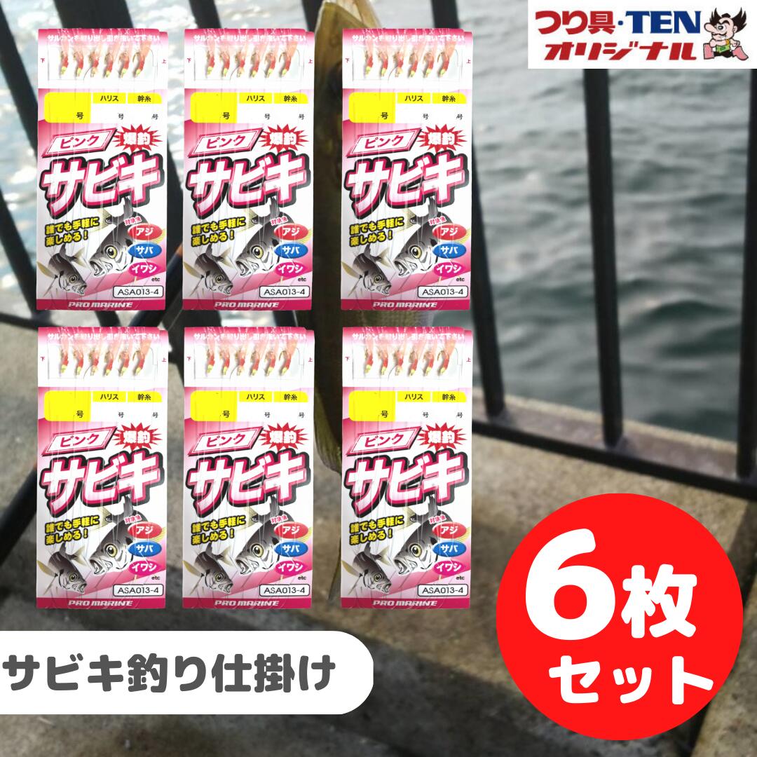 PROMARINEプロマリン サビキ釣り仕掛け ピンクサビキ オーロラ ASA013 まとめ買いセット (アジ サバ サビキ仕掛け 針5号 ハリス0.8 6枚セット) | 堤防 釣り 投げ釣り 餌 エサ 遠投サビキ ウキ釣り