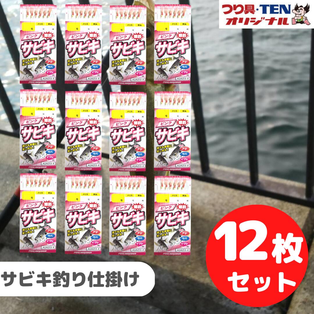 PROMARINEプロマリン サビキ釣り仕掛け ピンクサビキ オーロラ ASA013 まとめ買いセット (アジ サバ サビキ仕掛け針4号 ハリス0.6 12枚) 堤防 釣り 投げ釣り 餌 エサ 遠投サビキ ウキ釣り