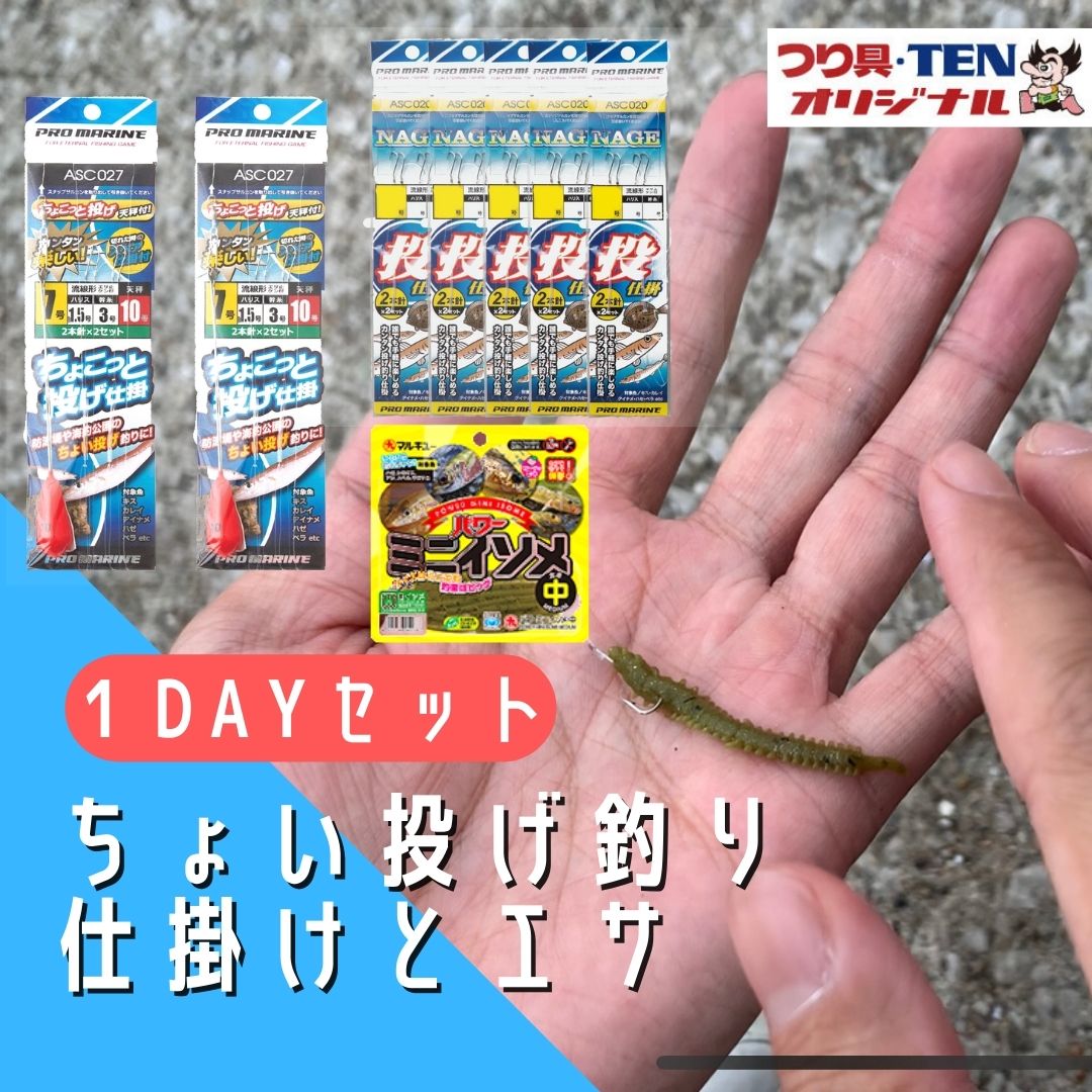 ちょい投げ釣り 仕掛け1人〜2人用 1DAYパック(投げ仕掛け/天秤オモリ/パワーイソメ/釣りセット/初心者オススメ1日パック) | ちょい投げ セット ルアー...