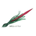 【ダイワ】 紅牙 タコマラカスユニットSS 抹茶/レッドラメ 2.5インチ