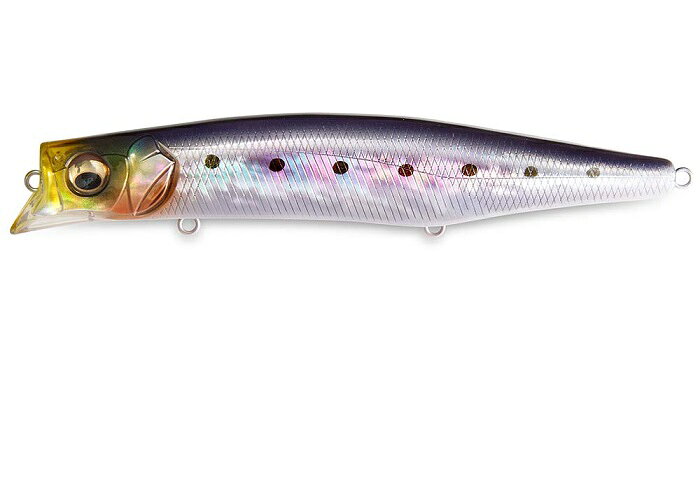 楽天市場】カゲロウの通販