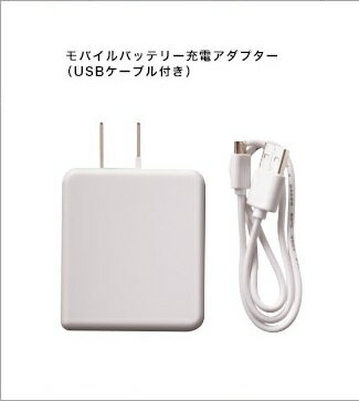 【サンライン】JDKB-35472　モバイルバッテリー　専用充電アダプター 1