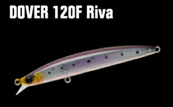 【アピア 】DOVER 120F Riva イワシ