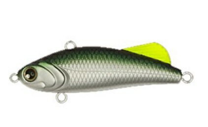 【ロンジン】ファンキーダート55　