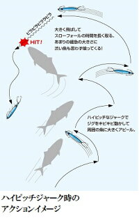 【エバーグリーン】カプリスエッジ130gイワシ