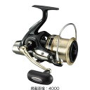 y_C(Daiwa)z17EChLXg 4500